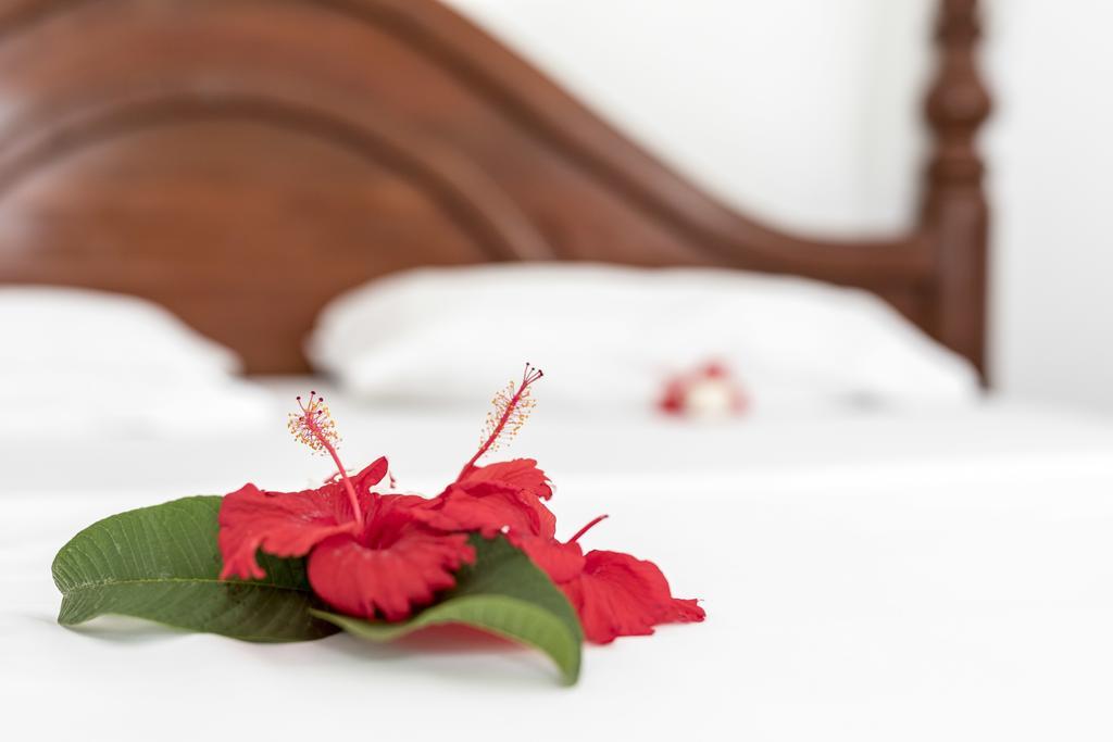 Kite&Active Guesthouse Paje Dış mekan fotoğraf