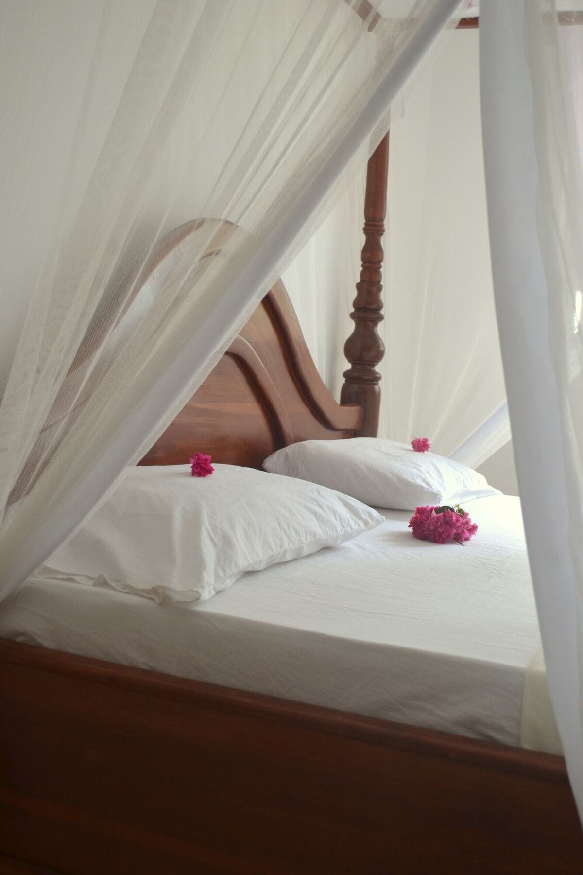Kite&Active Guesthouse Paje Dış mekan fotoğraf